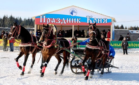 Праздник коня - 23.02.2013 | Вологодская область